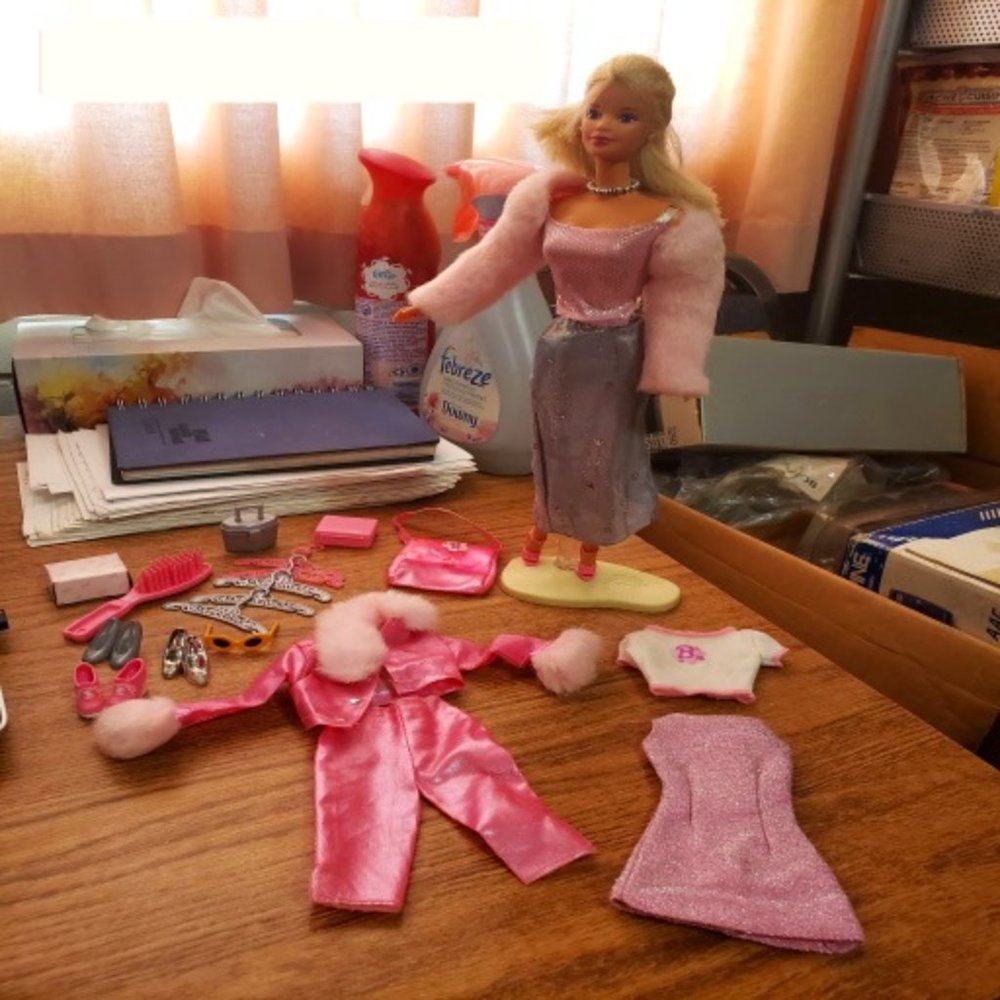 Retired My Wardrobe Barbie With Original Accessories
